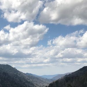 Meet your Posher, Miya